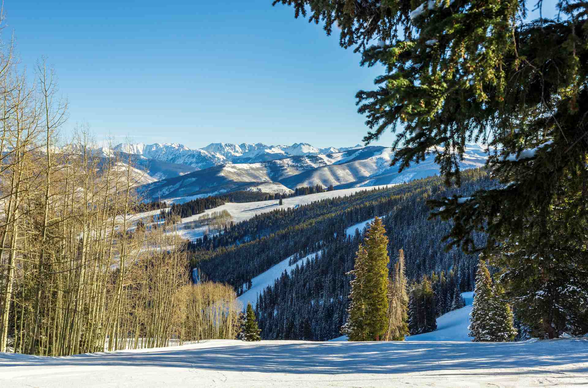 https://www.ski-i.com/© Vail Resorts