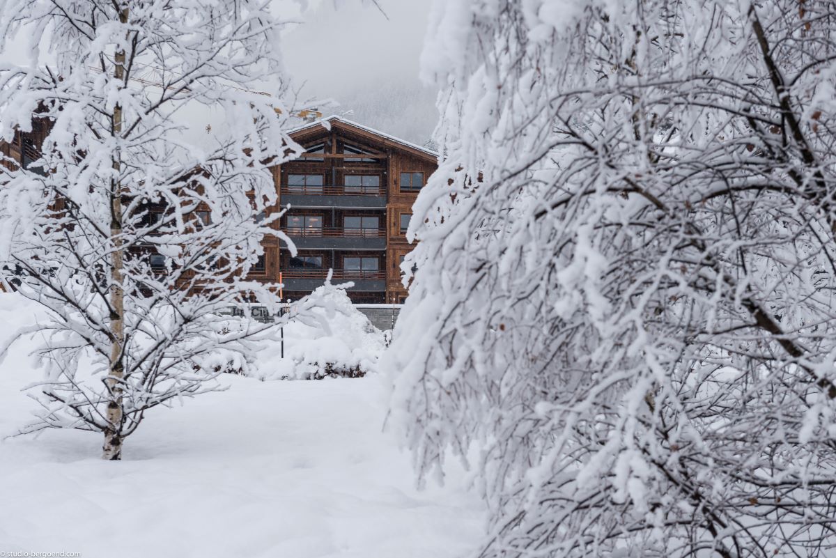 Residence Le Cristal de Jade Chamonix - Exterior with snowy trees