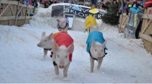 Top Tips for the Festive Traveller