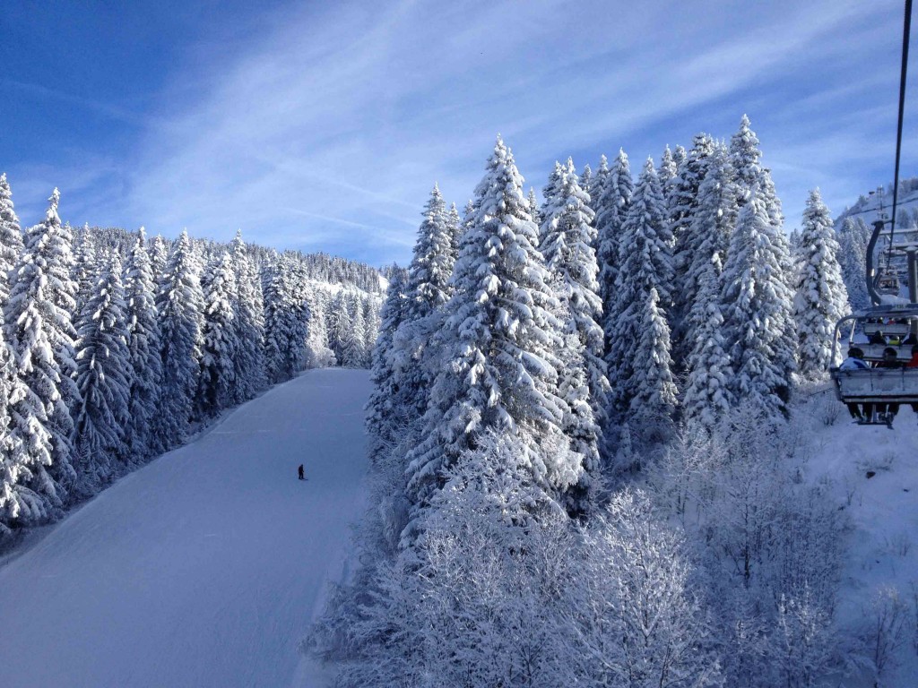 Recent Snowfall Alps
