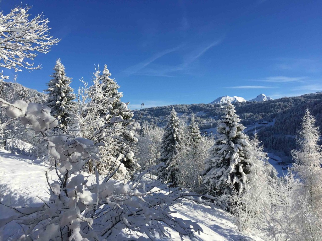 Recent Snowfall Alps